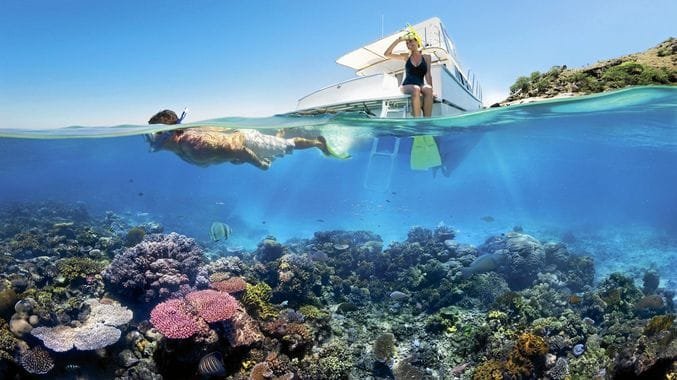 The Best Jobs in the World 04