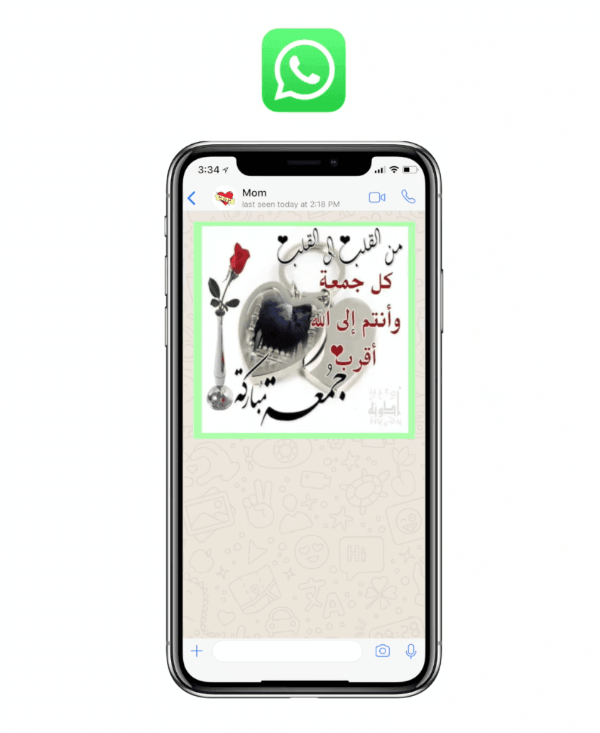 WhatsApp Marketing 2 Whatsapp Messaging