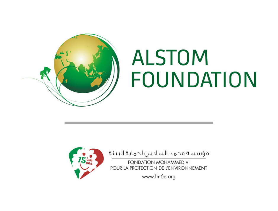 Alstom Foundation