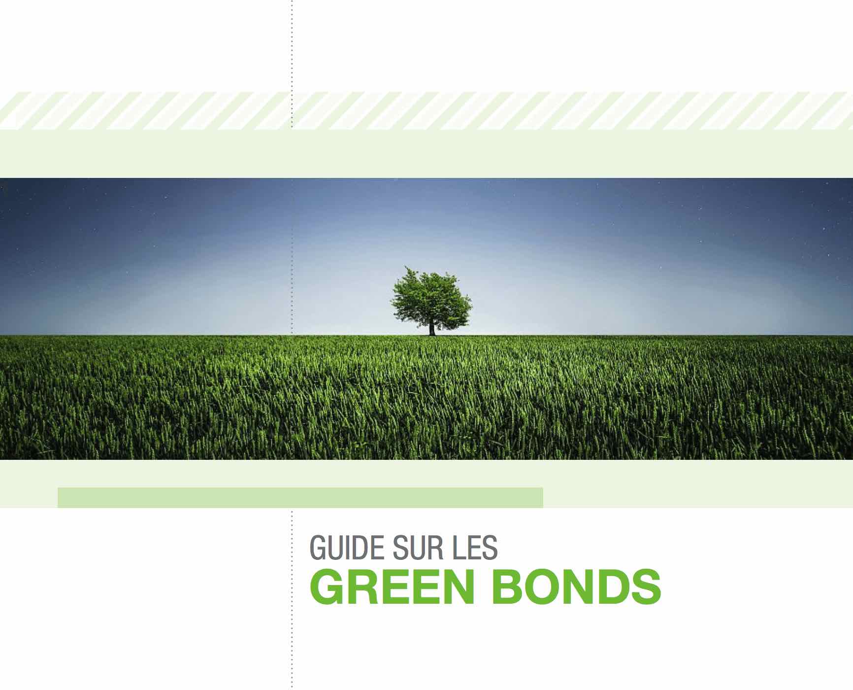 Green Bonds Ammc IFC