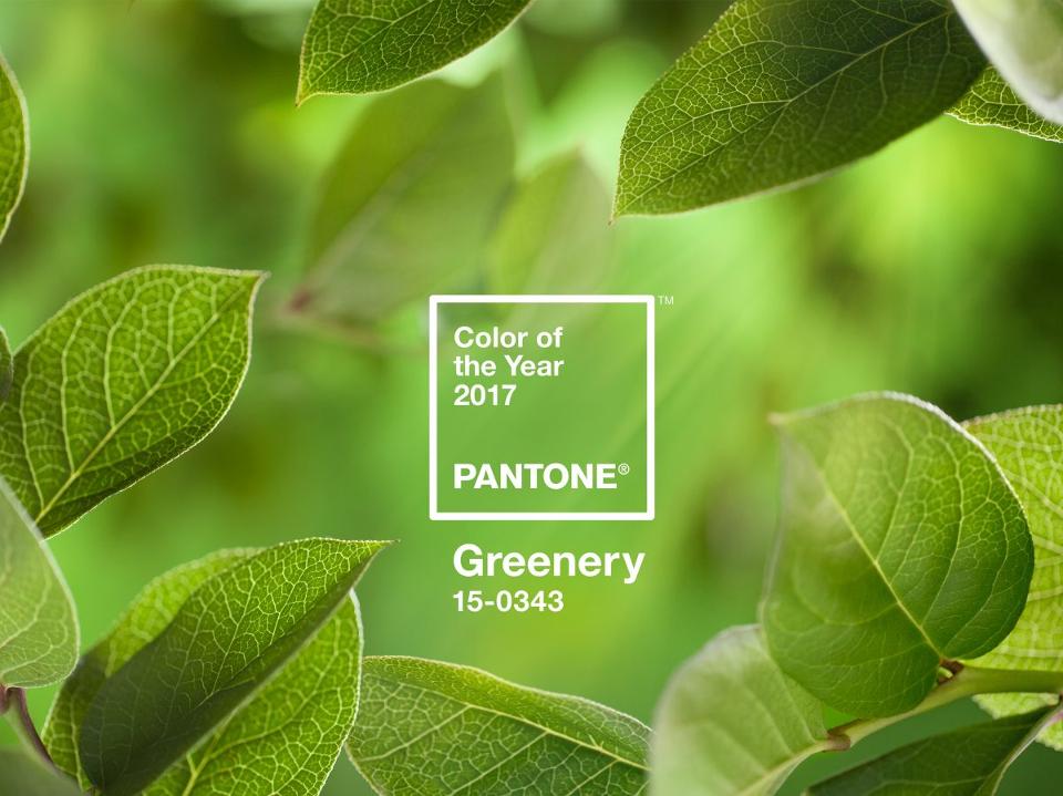 pantone-color-of-the-year-2017-greenery