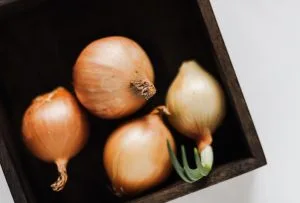 TRN_oignons_facebook