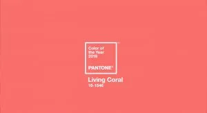 couleur-pantone-color-institute-2019-03
