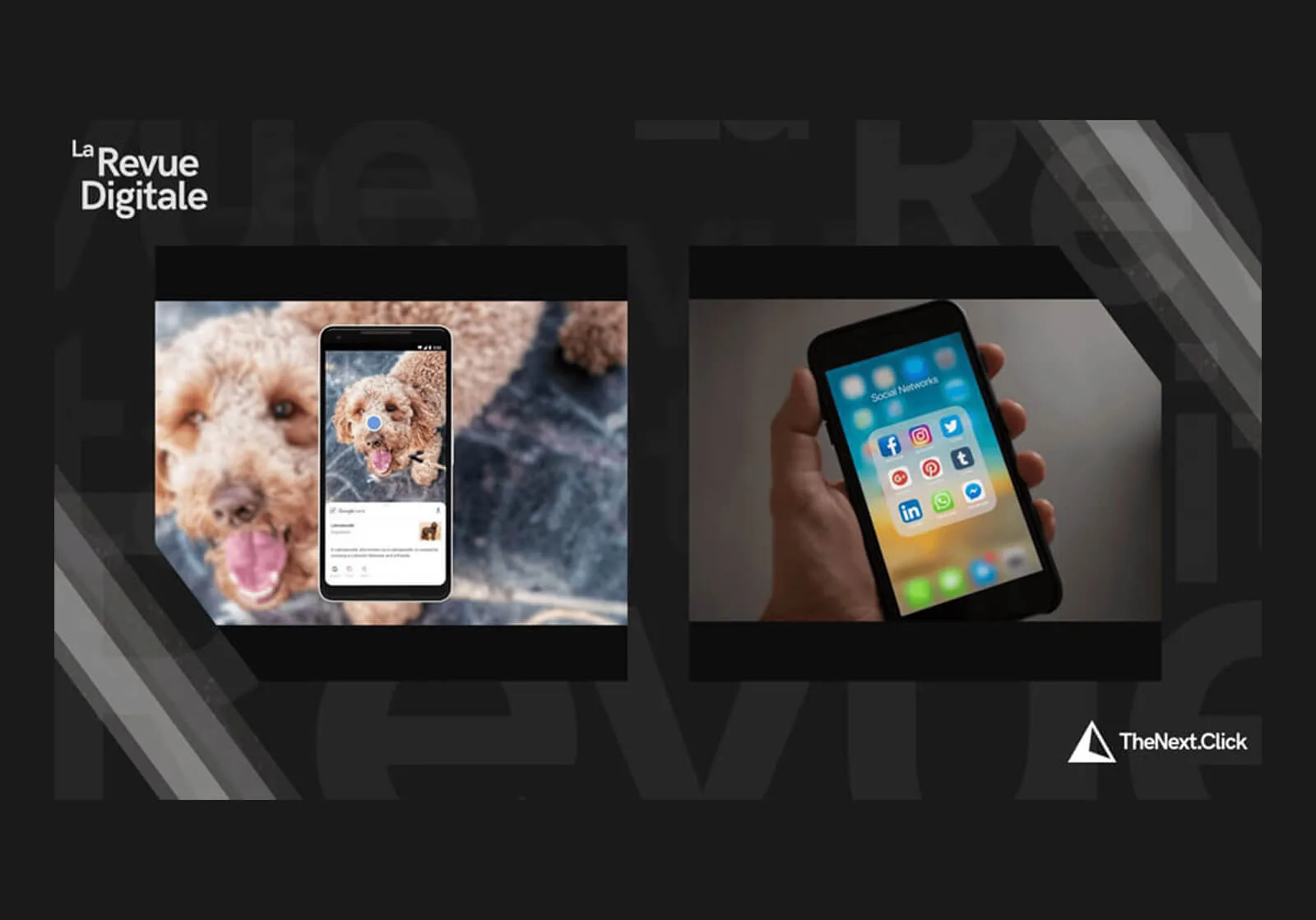 google-lens-cryptomonnaie-trends-trn