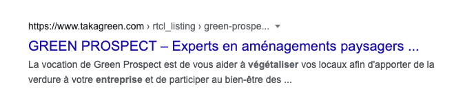 seo-principes-du-referencement-serp-tronquee