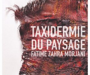 taxidermie-paysage-fatime-zahra-morjani